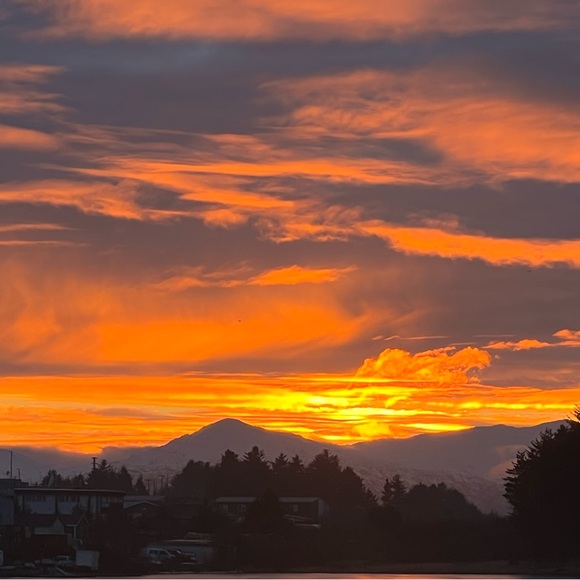 Meet the Posher Other - Meet your Posher, Hali